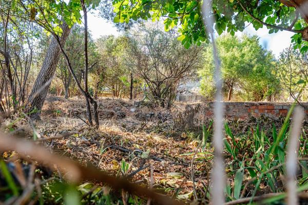 Terreno en via Doctor Josep Maria Tarruella