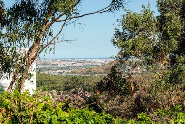 Terreno en via Doctor Josep Maria Tarruella