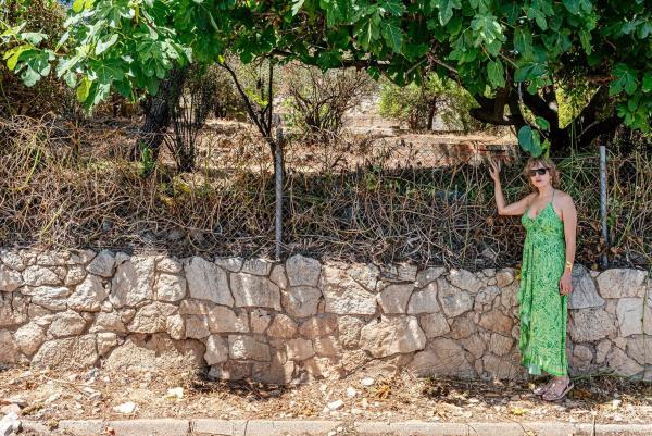 Terreno en via Doctor Josep Maria Tarruella