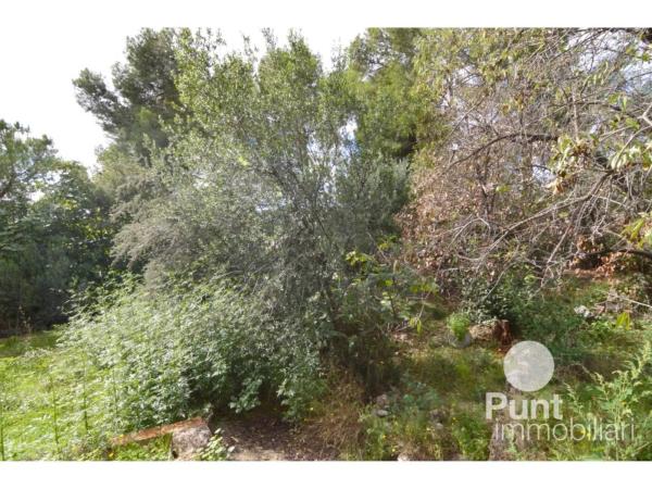 Terreno en La Palma de Cervelló