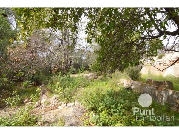 Terreno en La Palma de Cervelló