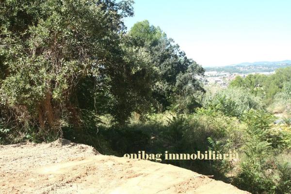 Terreno en calle Bosc