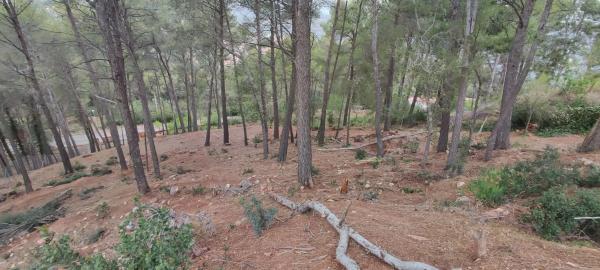 Terreno en calle Osona