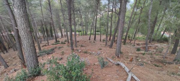 Terreno en calle Osona