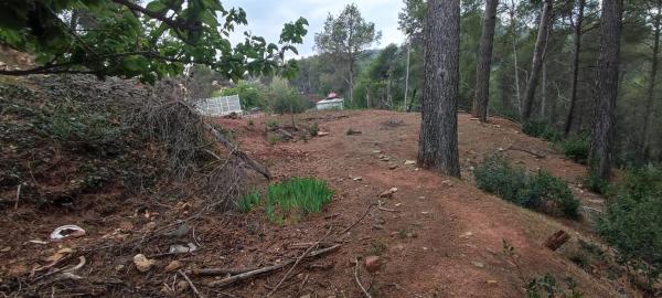 Terreno en calle Osona