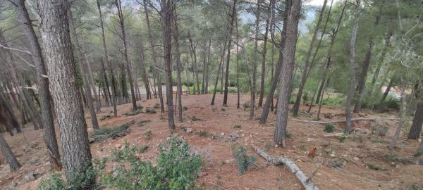 Terreno en calle Osona