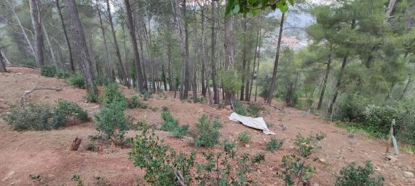 Terreno en calle Osona
