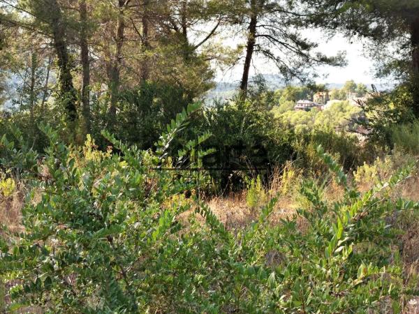 Terreno en calle de Salvador Dalí s/n