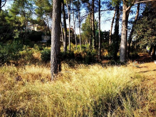 Terreno en calle de Salvador Dalí s/n