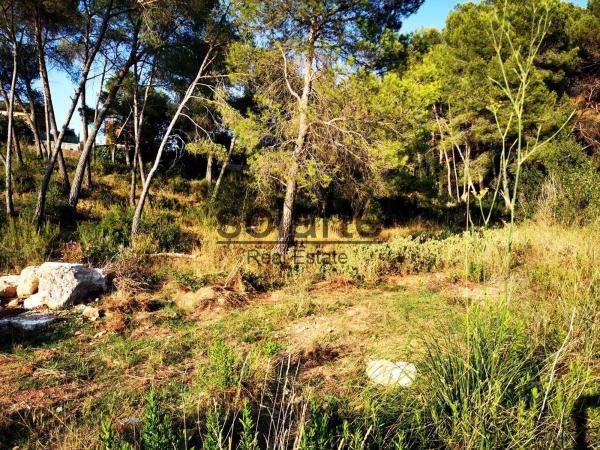 Terreno en calle de Salvador Dalí s/n