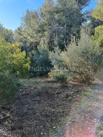 Terreno en Cervelló