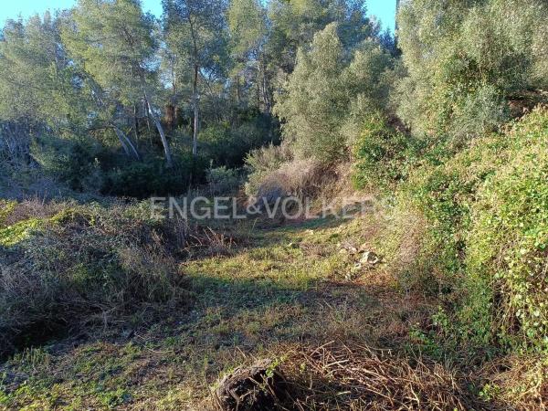 Terreno en Cervelló