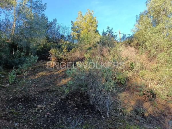 Terreno en Cervelló