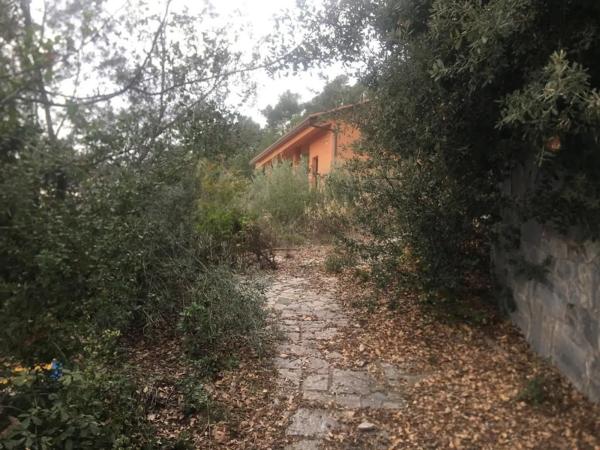 Terreno en calle del Castanyer