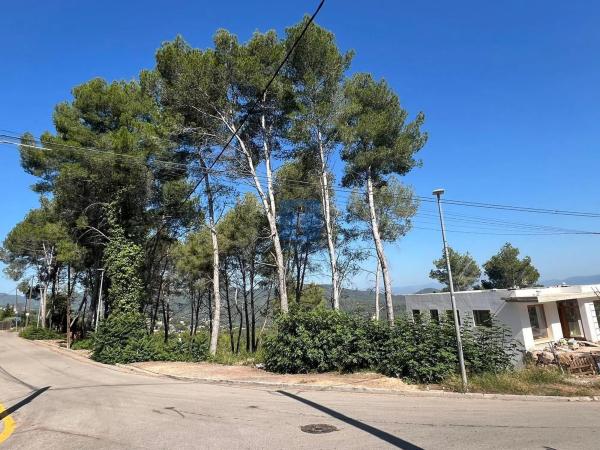 Terreno en calle Principat de Catalunya