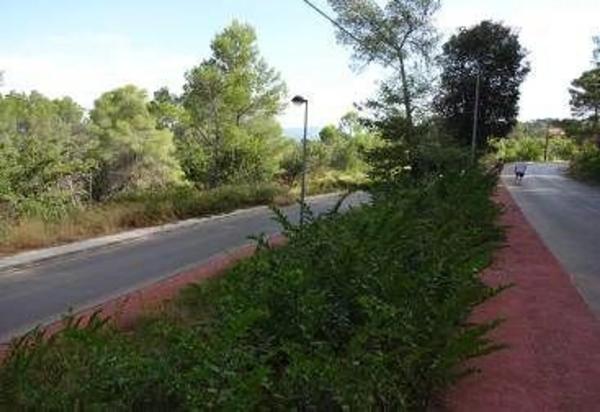 Terreno en avenida de les Cases Pairals s/n