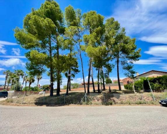 Terreno en calle Mimosas, 2