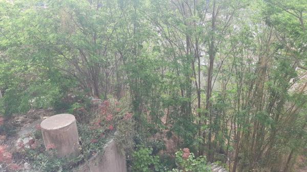 Terreno en calle Santa Magdalena, 1 -3