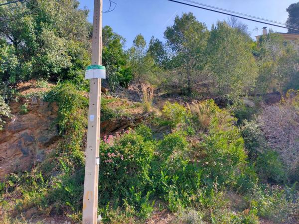 Terreno en avenida Roma, 12 NParcela