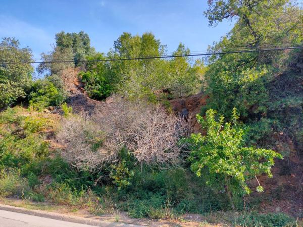 Terreno en avenida Roma, 12 NParcela