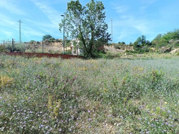 Terreno en calle Nou Creus