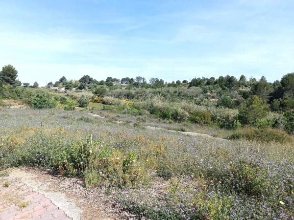 Terreno en calle Nou Creus