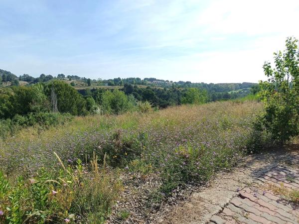 Terreno en calle Nou Creus