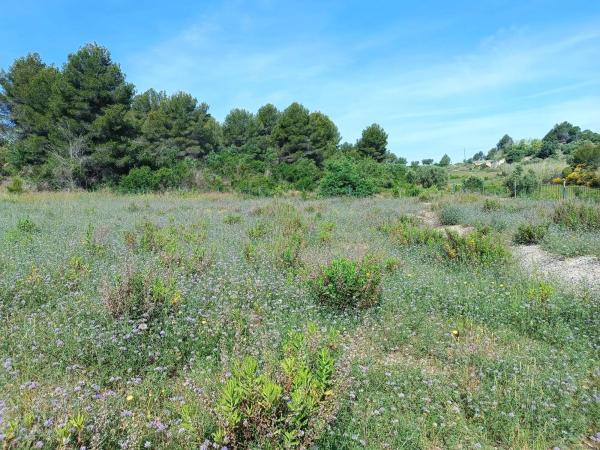 Terreno en calle Nou Creus