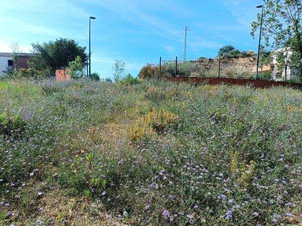 Terreno en calle Nou Creus
