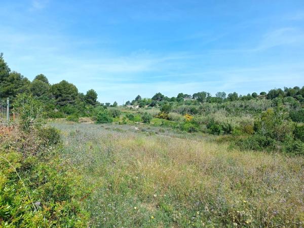 Terreno en calle Nou Creus