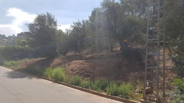 Terreno en avenida de la Mare de Déu de Lourdes, 519  Cases Pairals