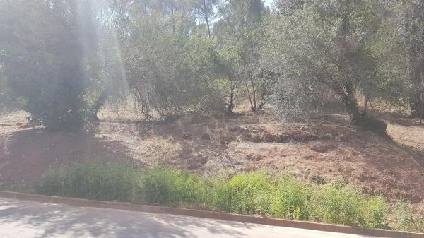 Terreno en avenida de la Mare de Déu de Lourdes, 519  Cases Pairals