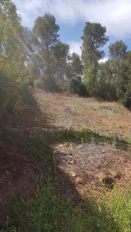 Terreno en avenida de la Mare de Déu de Lourdes, 519  Cases Pairals