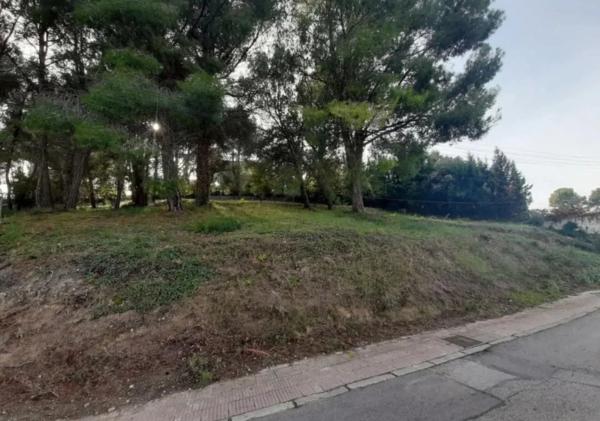Terreno en santa Jordi, 61