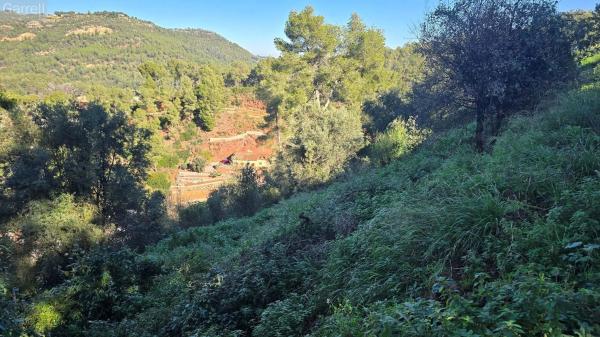 Terreno en Cervelló