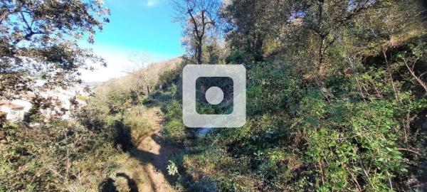 Terreno en calle Puig Castellar Gg