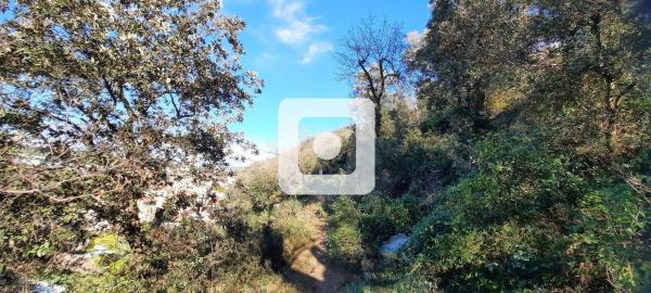 Terreno en calle Puig Castellar Gg