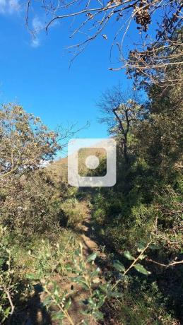 Terreno en calle Puig Castellar Gg