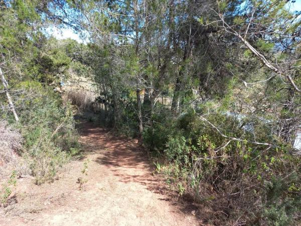 Terreno en calle Miramar