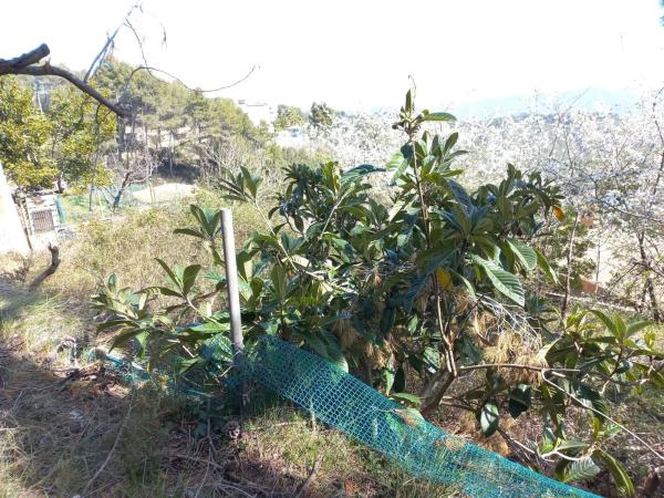 Terreno en calle Miramar