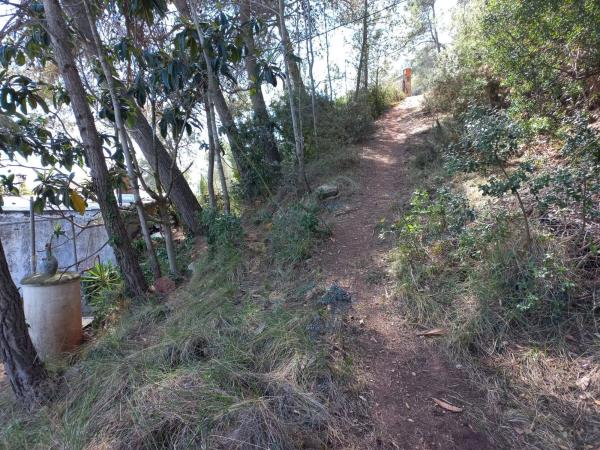 Terreno en calle Miramar