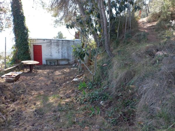 Terreno en calle Miramar