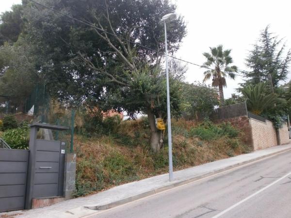 Terreno en calle Malvasia