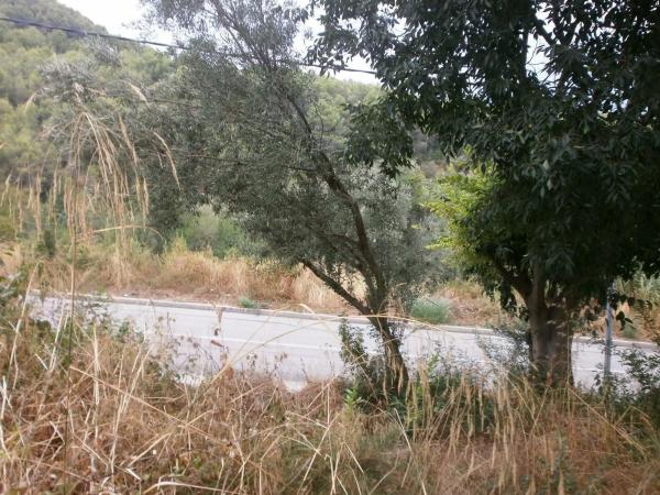 Terreno en calle Malvasia