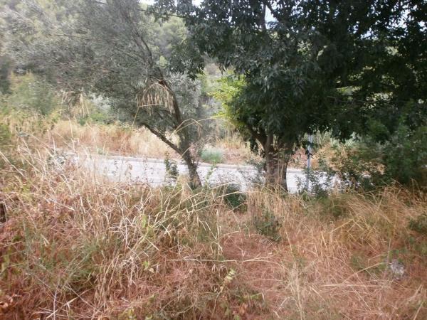 Terreno en calle Malvasia