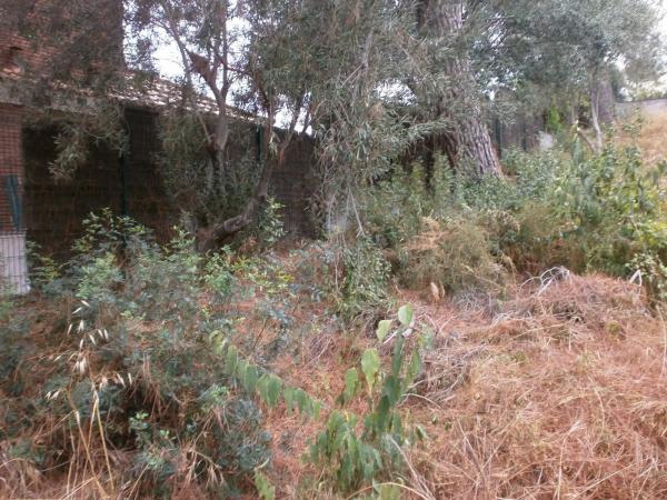 Terreno en calle Malvasia