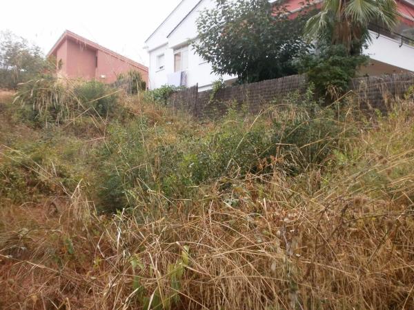 Terreno en calle Malvasia