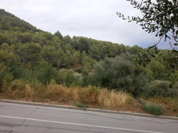 Terreno en calle Malvasia