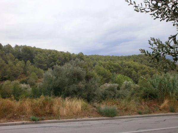 Terreno en calle Malvasia