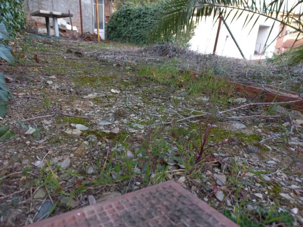 Terreno en Cervelló